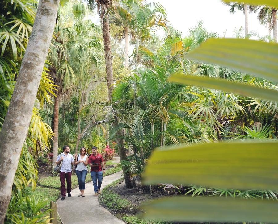 Students walking in the beautiful botanical garden, nestled in the heart of campus.