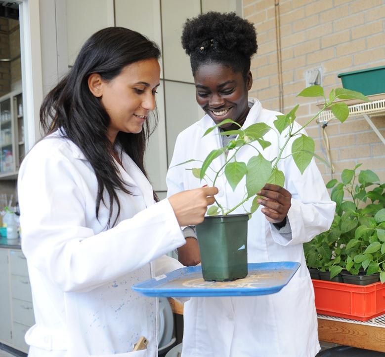 biology students in greenhouse