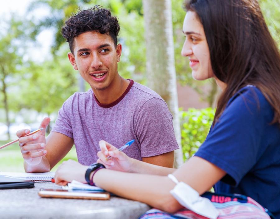 Students study at an outdoor table on campus