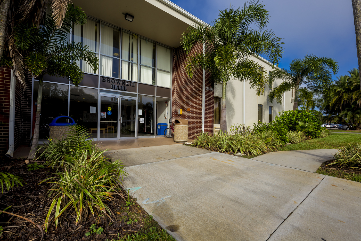 Entryway to two story building, the entryway features two story glass windows and is surrounded by palm trees and tropical plants